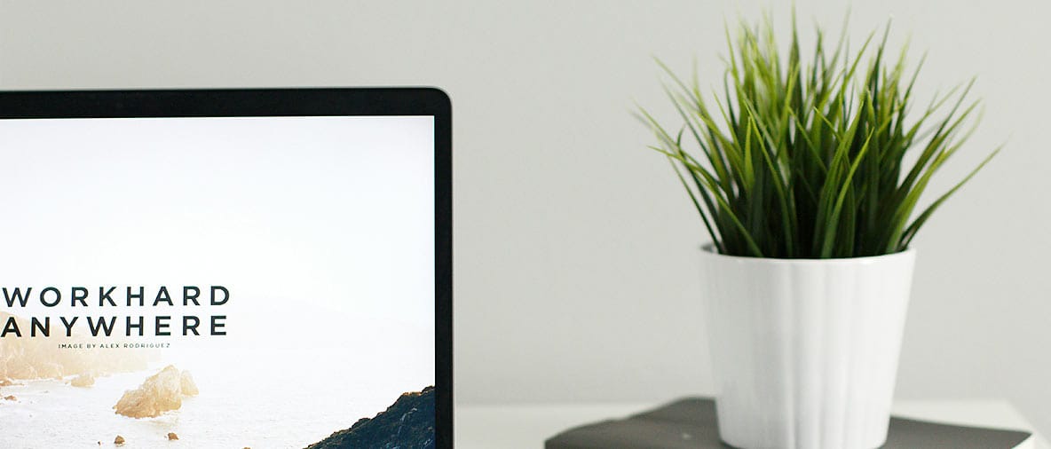 About Avada Minimal Portfolio